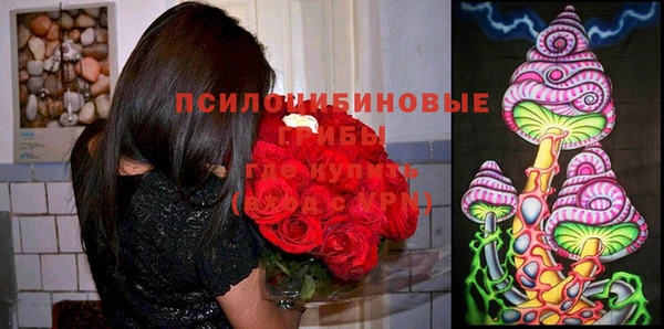 гашиш Карпинск