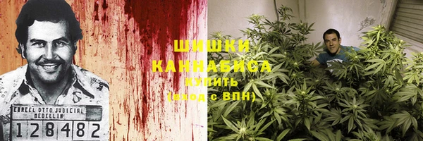 твердый Касимов