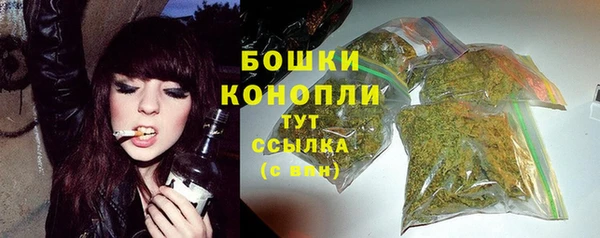 твердый Касимов