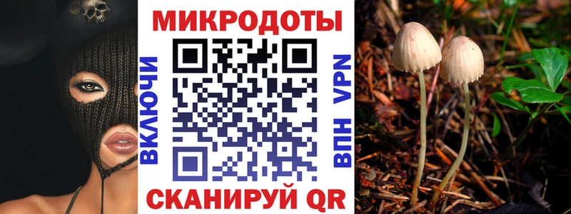 Псилоцибиновые грибы прущие грибы Гусь-Хрустальный